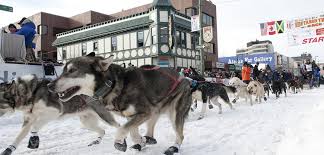 費爾班克斯（Fairbanks）5天4晚 北極光號列車+獨家迪納利國家公園入園健行 NFF5-DEN