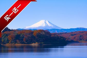 东京箱根大阪富士山温泉6日之旅 (買一送一大促銷)