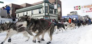 費爾班克斯(Fairbanks)6天5晚 北極光號列車+獨家迪納利國家公園入園健行 NFF6-DEN-DD