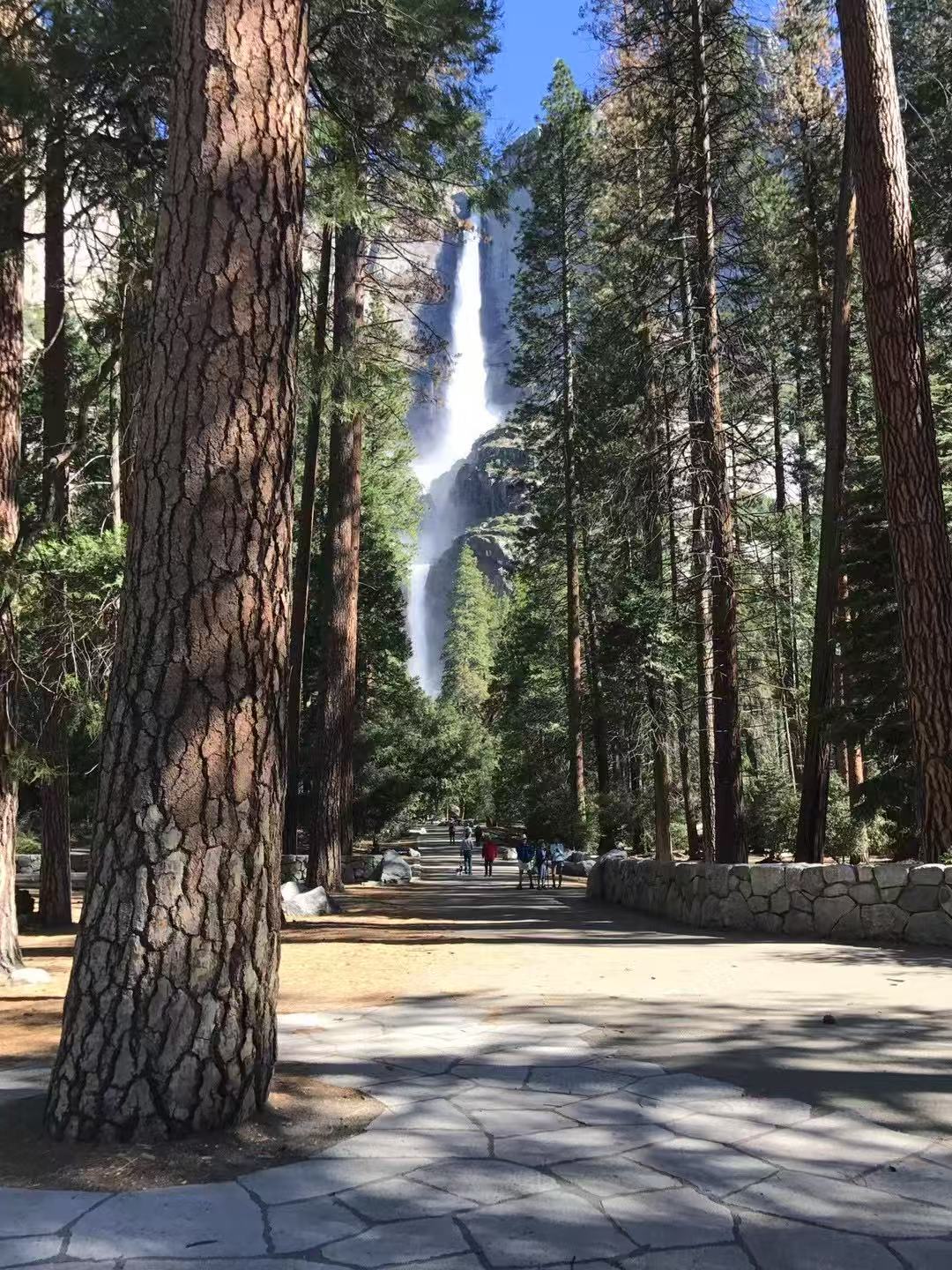 洛杉磯-旧金山-17哩湾（或优胜美地国家公园）六日精华游 S-3